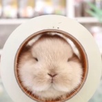 うのくらし