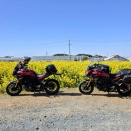 トレトレツーリング　(*ΦωΦ*)にゃー