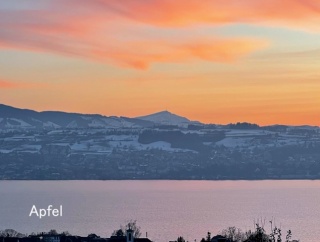 帯状疱疹のワクチン2回目を接種してきました
