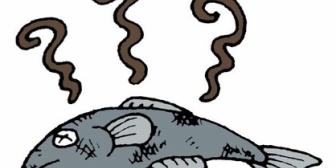 嫁が腐った魚をレンチンしてオーブントースターで焼いたっぽいんだが…