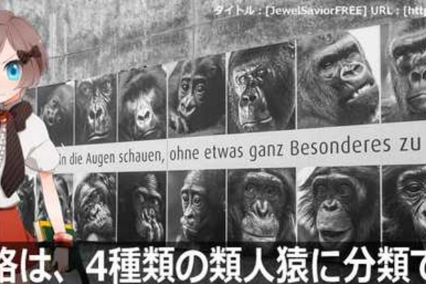 人の性格は4種類の類人猿に分類できる 類人猿診断 とある変わり種な行政書士のライフログ