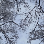 空もよう、心もよう ～ sora koko.