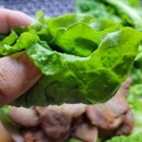 2025,11/4日の結果