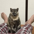１歳児の父親です。嫁は友人や姉妹と１日遊べる育児休暇？的な日を月１で作っています。「俺もそんな日がほしい」と相談したら「１人になりたいとか最低だな」と怒られました。