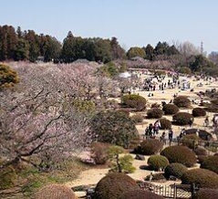 水戸徳川家の時代から水の戸の光の地故に支配層のサンカの闇が潜んできた茨城県県庁所在地の水戸市