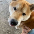 逆風マラソン💨