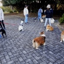 りょうちゃんの階段練習