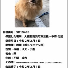 Npo法人 福井犬 猫を救う会 収容犬 猫情報 動物愛護センター 元 福井県動物管理指導センター