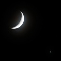 月夜の庭が運命を開く