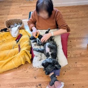 長期戦の始まり