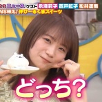 乃木坂46のテレビとラジオ