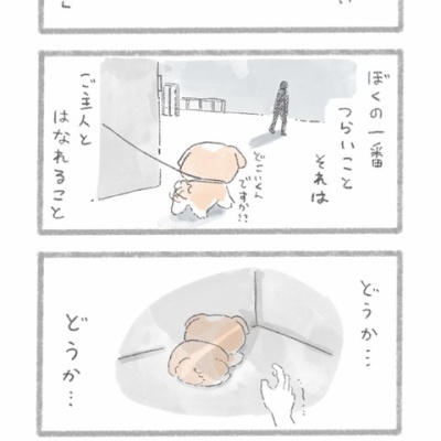 じゅんのいぬかわいいメモ - こんにちは、いぬです