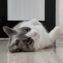 �椬�Ȥ�ǭ�⹭���ǥӥ塼(^_^)�����ɤ��פ��Фΰ�ĤˤʤäƤ����Ȼפ��ޤ�(*^_^*)