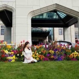 『カバー写真変更』の画像