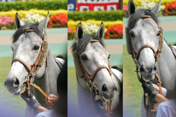 ぼわっとブログ 16年05月