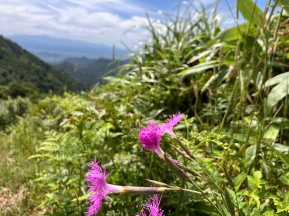⊂(´・ω・)⊃　山が涼しすぎる