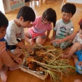 ６月の様子　