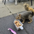 「風邪っぴき」確定らしい。😭😭😭