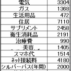 下流のお一人様家計簿blog☆彡