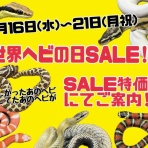 爬虫類倶楽部大宮店公式ブログ