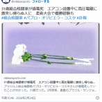 【訃報】ブラジル人総合格闘家パブロ・オリビエラ・コスタさん(31)が感電死　エアコン設置中に高圧電線に激突　柔術大会で優勝経験も