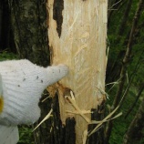 『もう秋』の画像