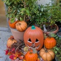 ローズガーデンはハロウィンパーティー