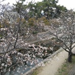 Ｍｏｏｎ　月に想いを・・