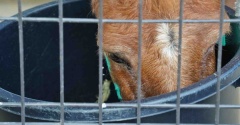 【大阪】天王寺動物園＊園内ぶらぶら（2026/08）