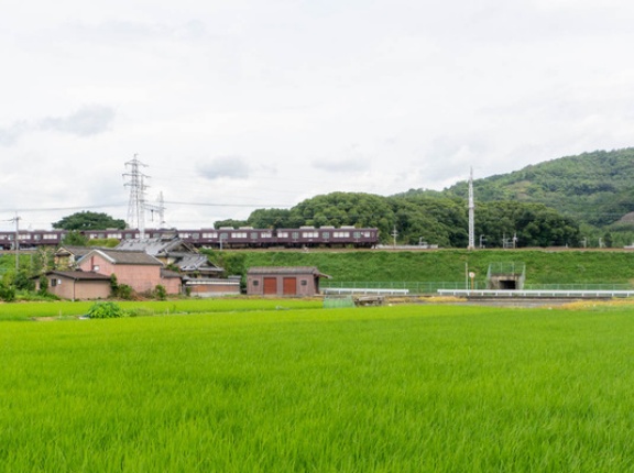 梶原で勝海舟が設計責任者を務めた「梶原台場跡」が発見されたみたい