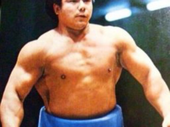 大相撲の力士って体重150kgとかあるけど、ボクシングや格闘技やっても普通に強いんじゃね？