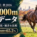 天皇賞・秋2026の予想参考データ｜芝2000mG1でルメール複勝率65.2％！騎手・種牡馬・厩舎を比較