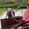 【夫婦旅】京都1泊旅行☆かかった費用
