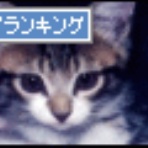   こころ惹かれるもの