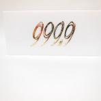 サングラスとメガネのプロショップ