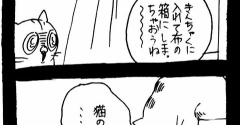 猫の執着をナメるな