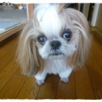 いつまでも一緒だよ♪