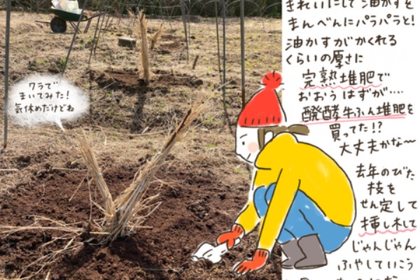 はなうた イラストレーター シミキョウ いちじく