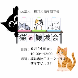 NPO法人 福井犬猫を救う会