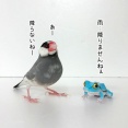 干からびちゃうって言うから