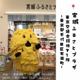 『有楽町の「宮城ふるさとプラザ」でくりはらの味を発見！✨』の画像
