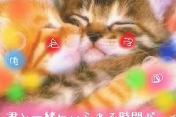 猫大好きﾌﾘｽｷｰ 06
