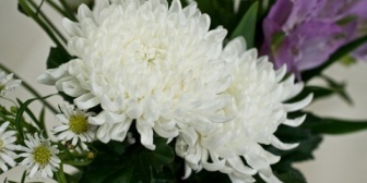 延命するかしないかの決断を迫られて、夜中に泣く泣く女房にごめんねと言いながら延命せんぞって言ったんだが…