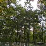 ウシ子とウシ夫の牛歩旅