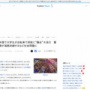 【動画あり】中国のチャリカスさんたち、次元が違ったｗｗｗｗｗｗｗｗｗ