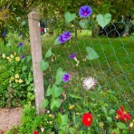 シャルバーグ八千代の＜フランスの田舎から＞