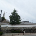 甲府