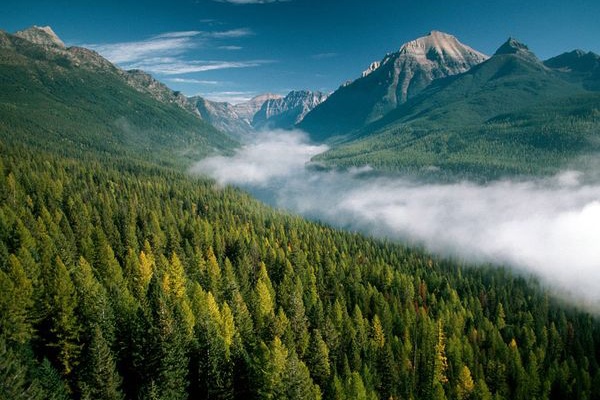 カッツンの Travel Spot Info グレイシャー国立公園