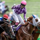 宝塚も終わったし上半期のベストレース決めようぜ！