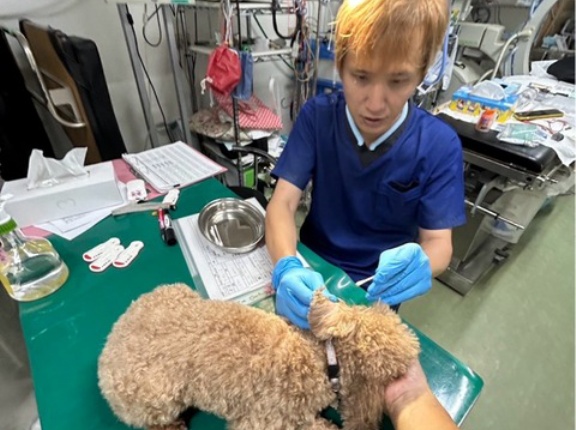 今日のシェルター通信🛜です。